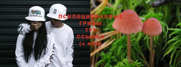 скорость Абинск
