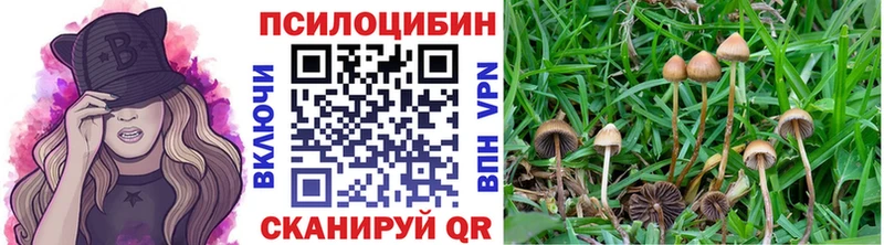 Псилоцибиновые грибы Magic Shrooms  купить   Оренбург 