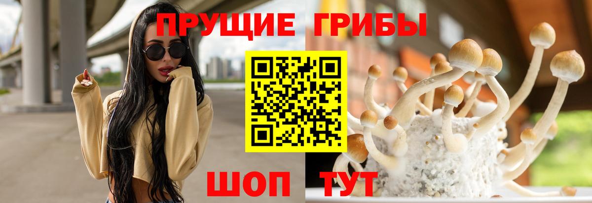 Галлюциногенные грибы мицелий  что такое наркотик  Оренбург  Вход с VPN 
